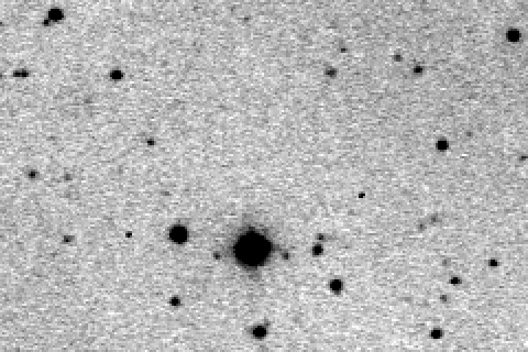 confirmation images of comet Vorobjov